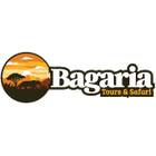 Bagaria Tours & Safaris