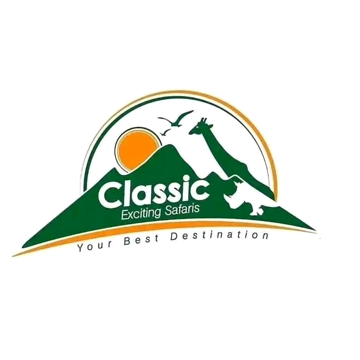 company logo