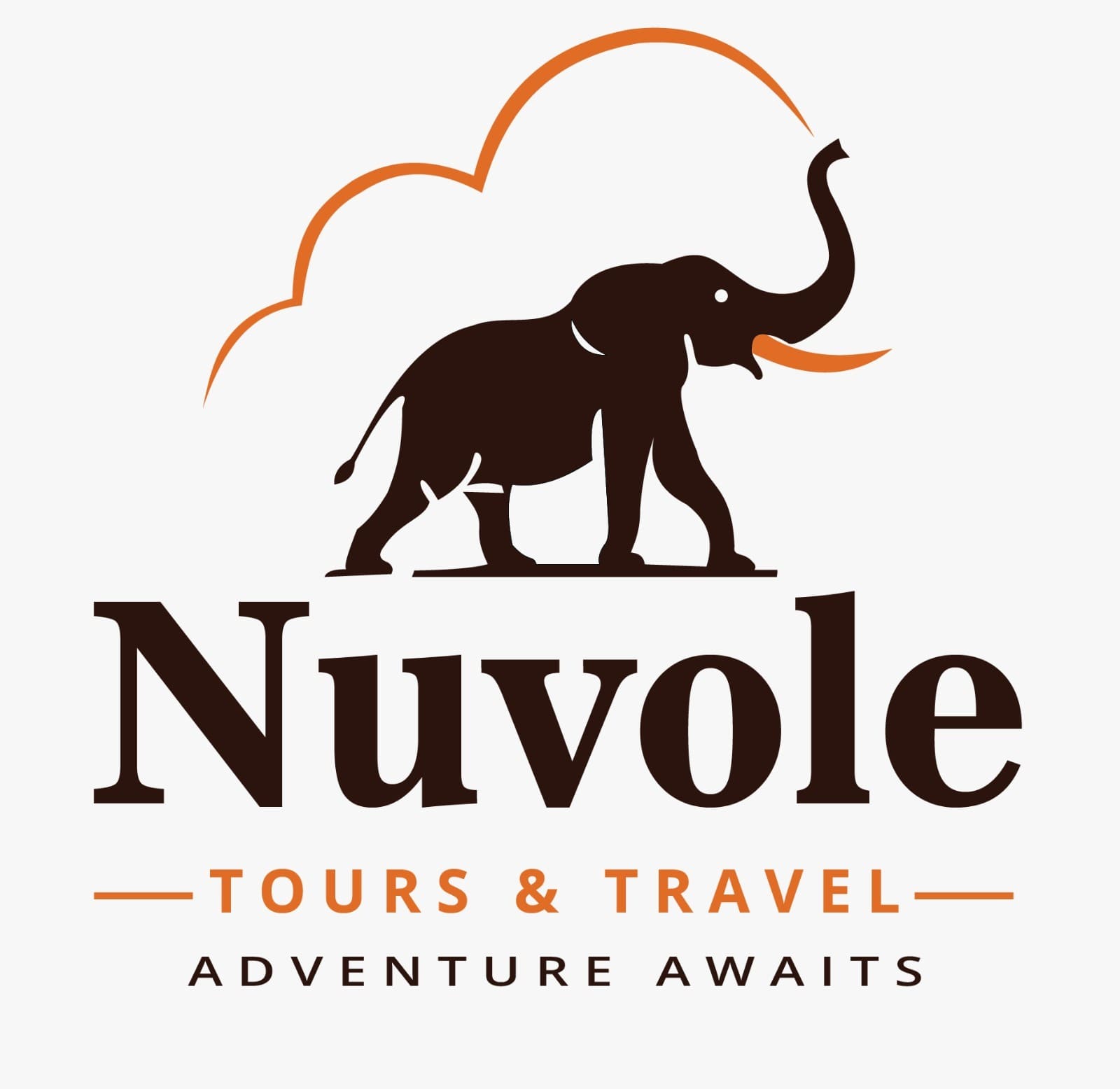 company logo