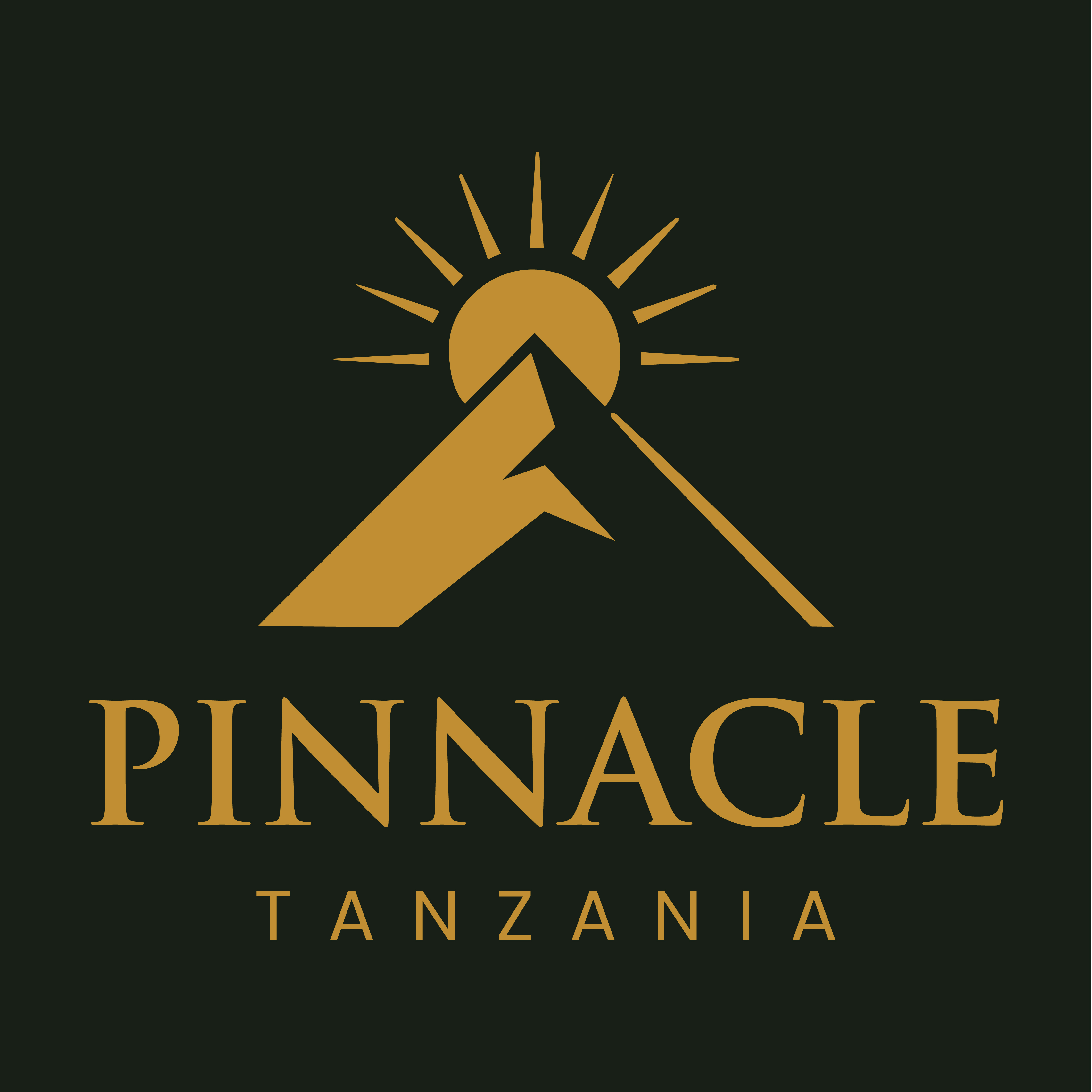 company logo