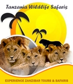 Experience Zanzibar Tours & Safaris