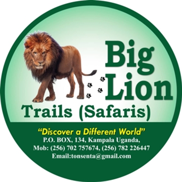 BIG LION TRAILS SAFARIS