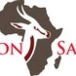 Beacon Safaris