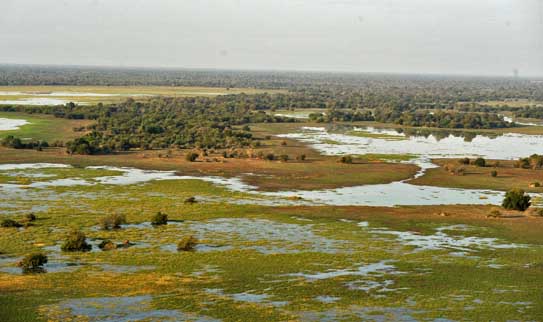 Zakouma landscape