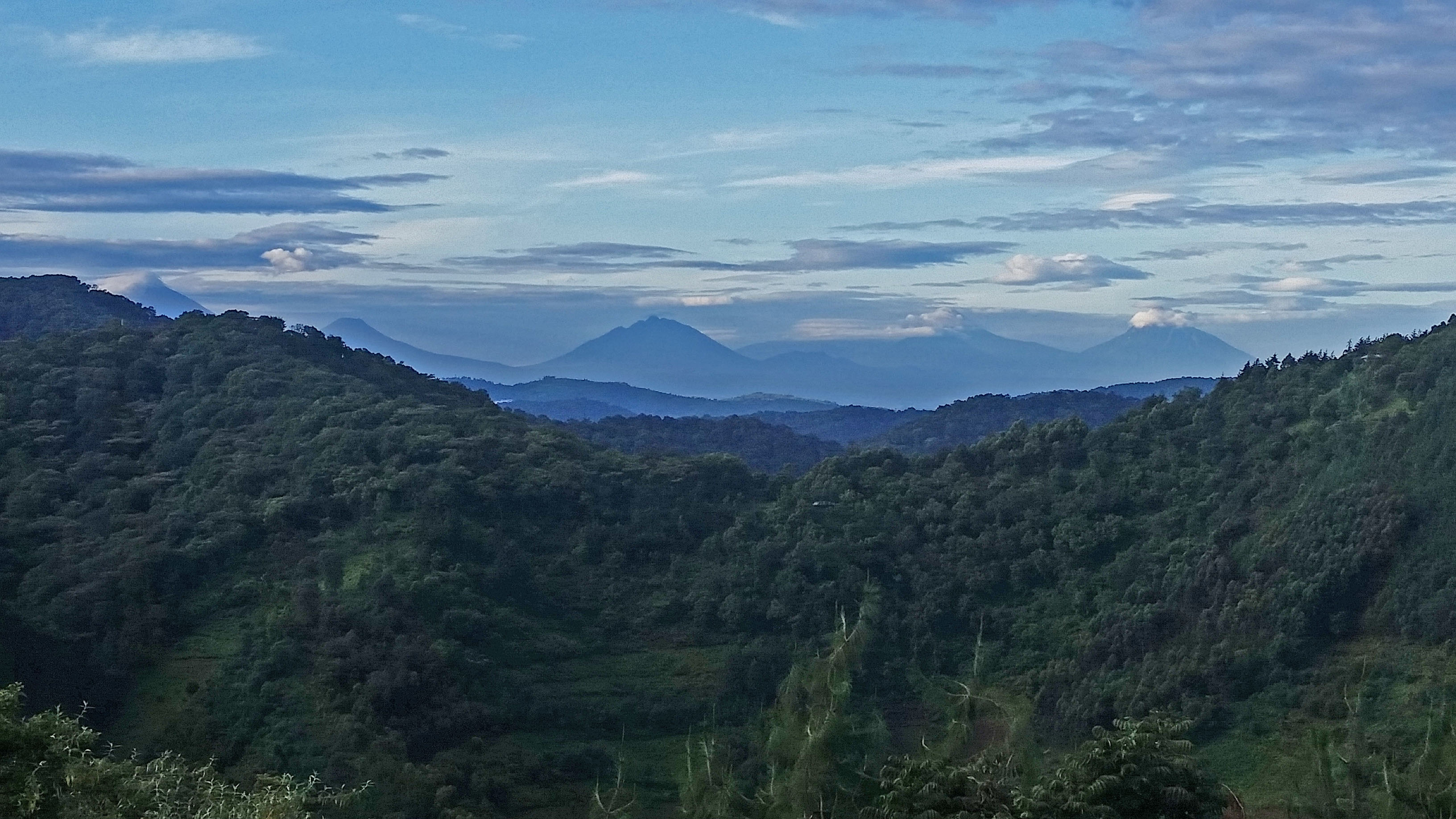 Bwindi Impenetrable National Park