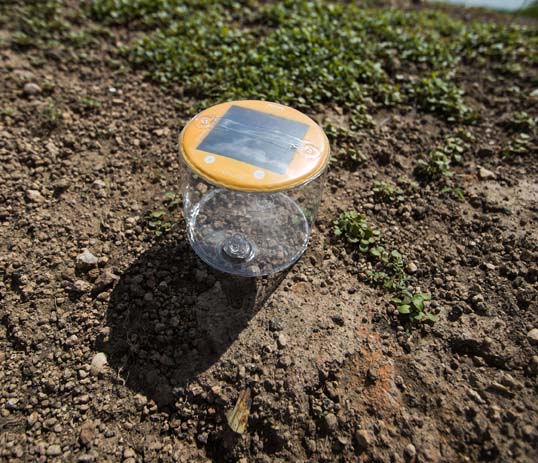 Solar Sister solar lights