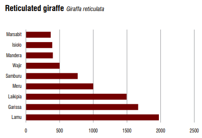 Reticulated giraffe population in Kenya | giraffeconservation.org
