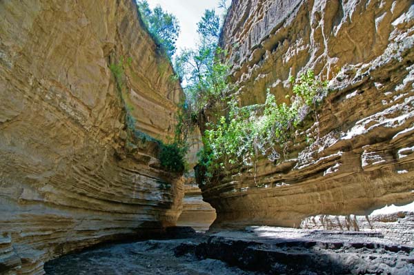 Hell's Gate canyon