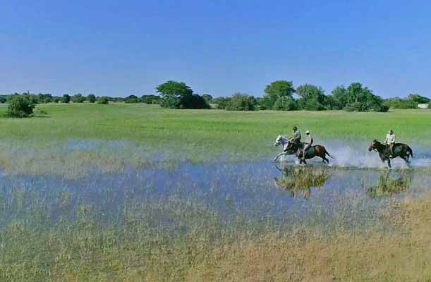 Horseback safari running through water