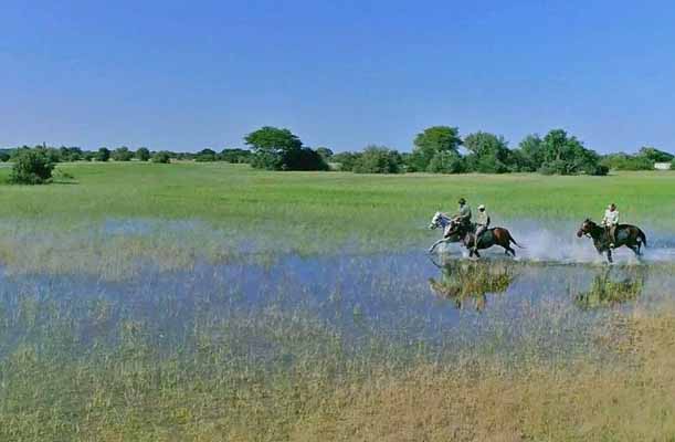 Horseback safari running through water