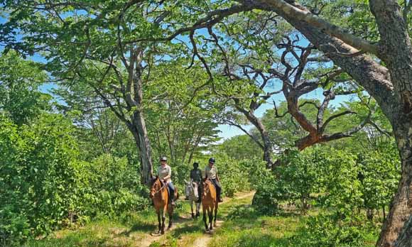 Hwange Horseback Safaris riders