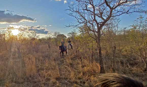 Horse riders and setting sun Hwange National Park