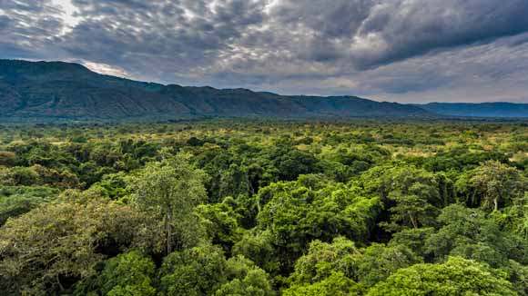 Verdant Semuliki Valley, Uganda