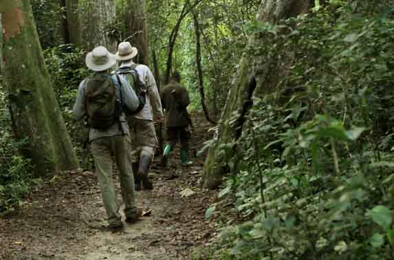 Trekking in Semliki Wildlife Reserve