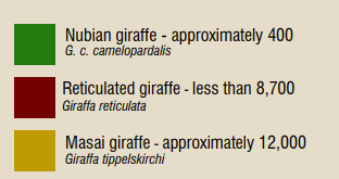 giraffeconservation.org