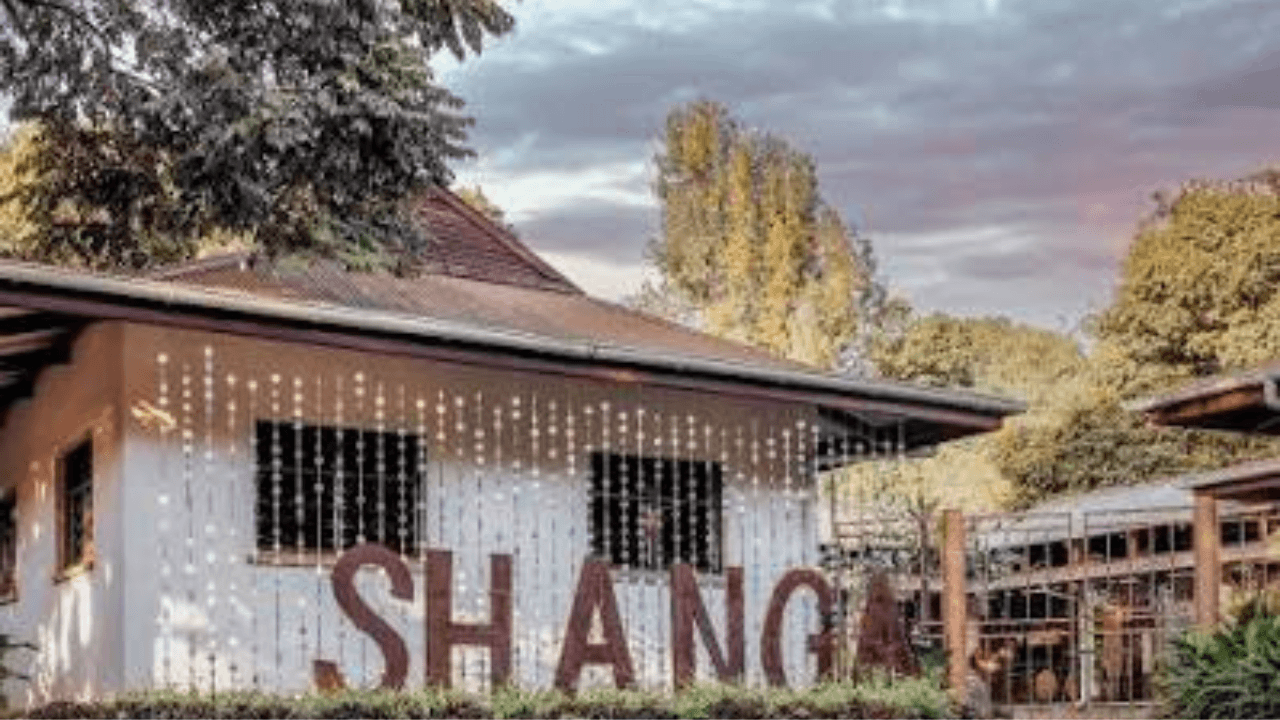 Shanga on the Burka Coffee Estate