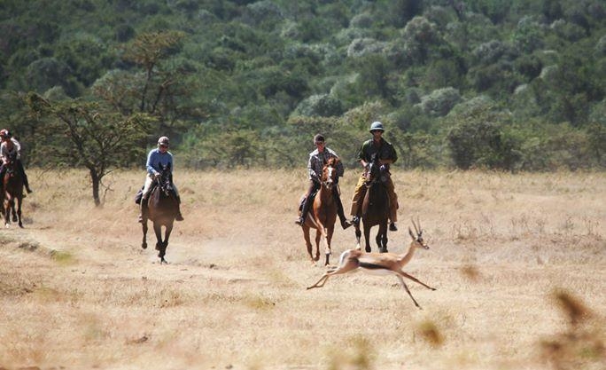 Cantering with a Thompson Gazelle, Laikipia Plateau, Kenya GoWild Africa