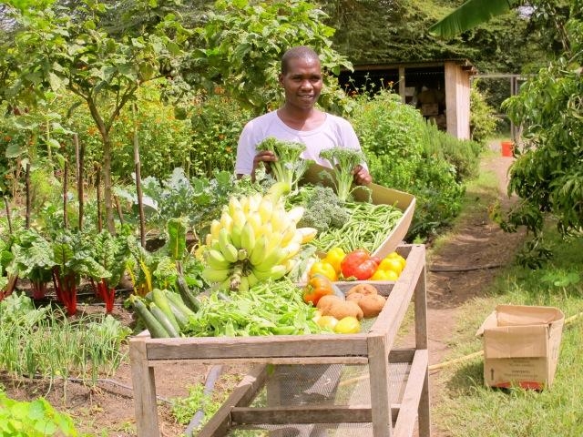 Sirikoi Head Gardener, George