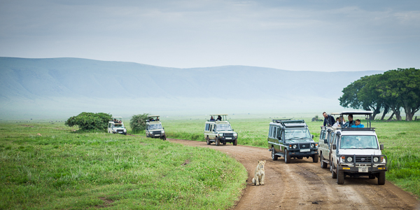 Ngorongoro Crater, Tanzania