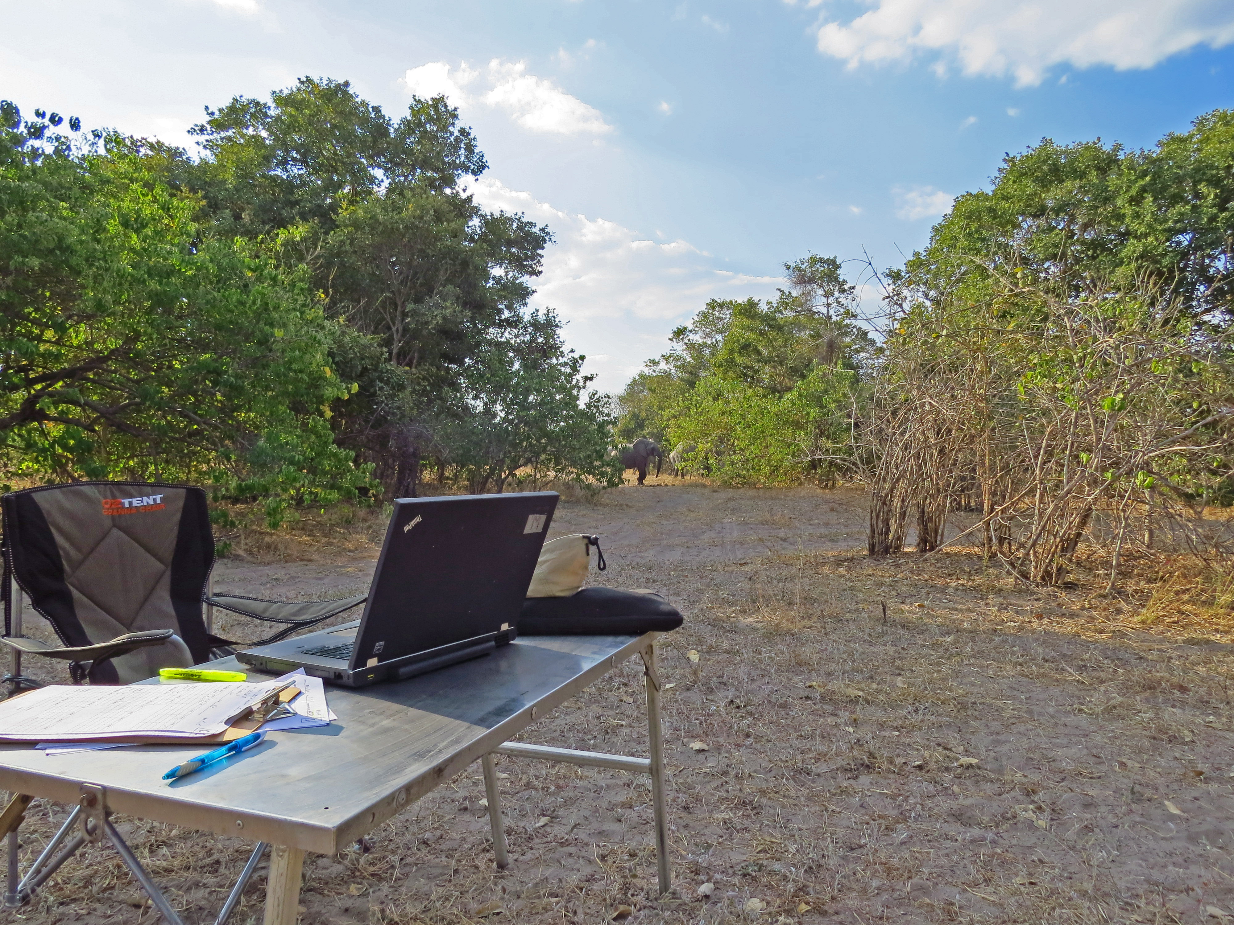 Monitoring wildlife in Africa