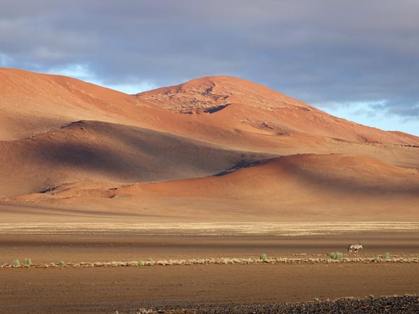 Sossusvlei dunes and lone gemsbok